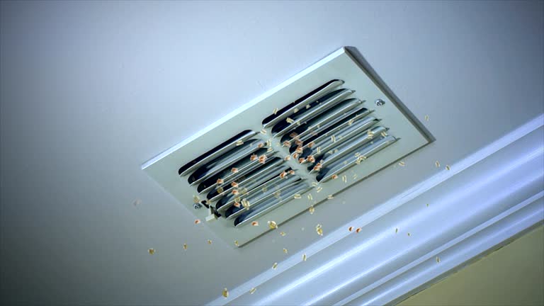 Best Best Air Duct Cleaning Company  in Page, AZ