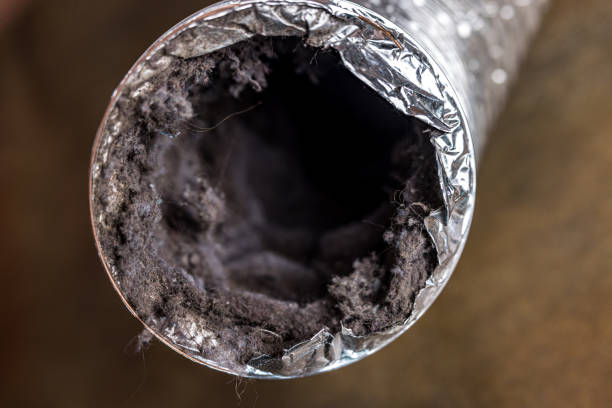 Best Air Duct Cleaning Near Me  in Page, AZ