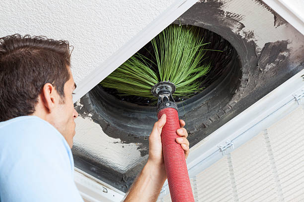 Best Air Duct Cleaning Company Near Me  in Page, AZ